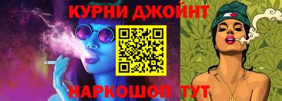 дживик Можга