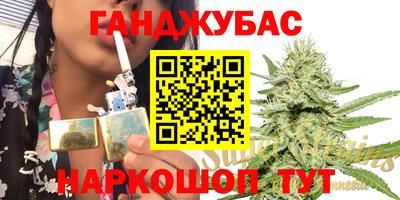 дживик Можга