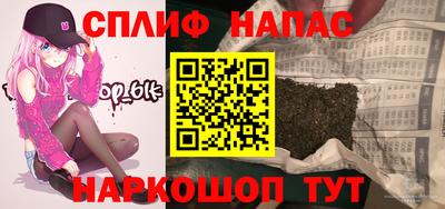 дживик Можга