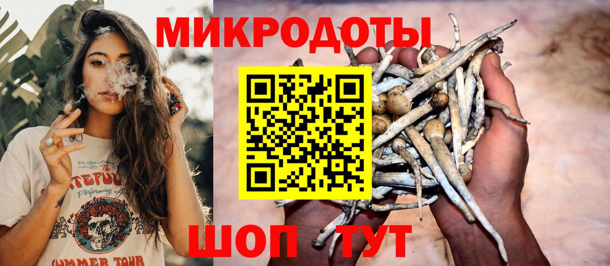 Псилоцибиновые грибы мицелий Вольск